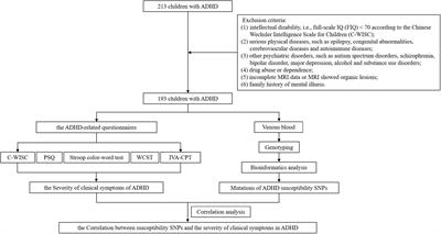 Correlation research of susceptibility single nucleotide polymorphisms and the severity of clinical symptoms in attention deficit hyperactivity disorder